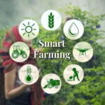 Best Smart Farming Tools: Best Smart Farming Tools for Efficient and Sustainable Agriculture